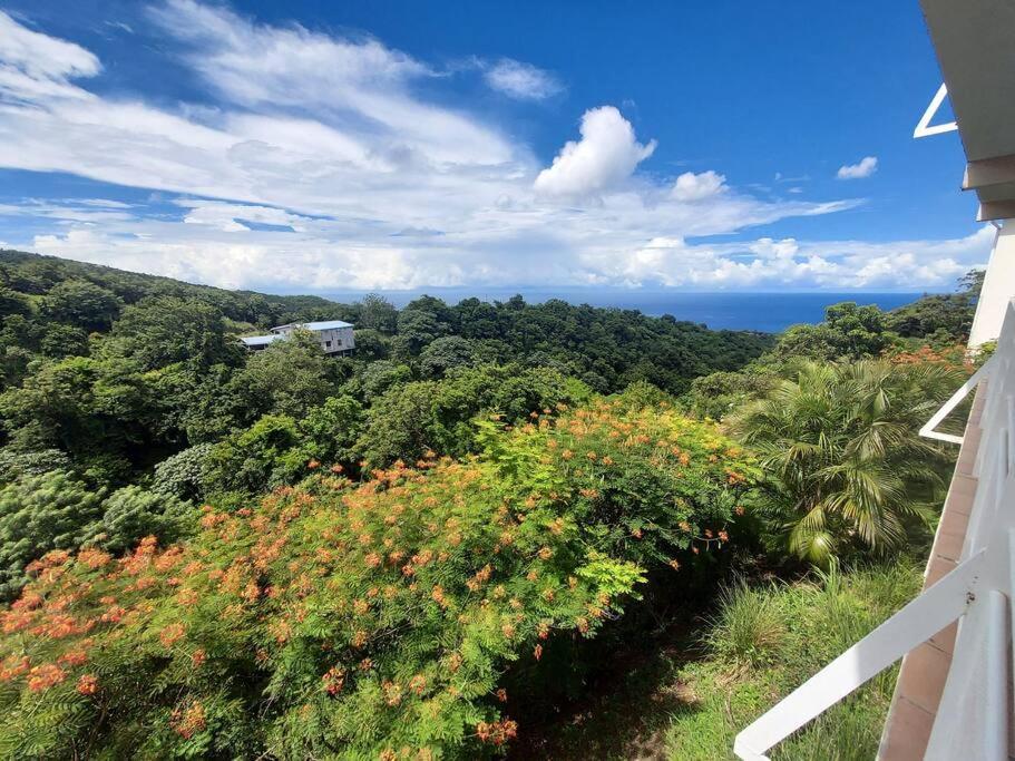Grand Studio En Bas De Villa Avec Vue Sur Mer Au Carbet Le Carbet Bagian luar foto